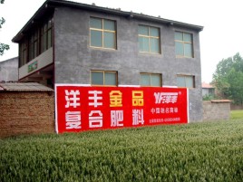黄陵如何让墙体广告展现最大化效果